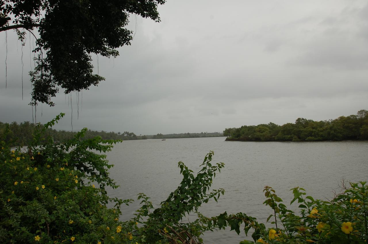 Villa La Casita Cavelossim Buitenkant foto